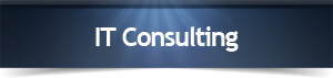 IT Consulting