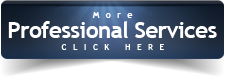 professional services