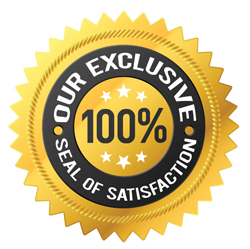 Seal of Satisfaction image lg